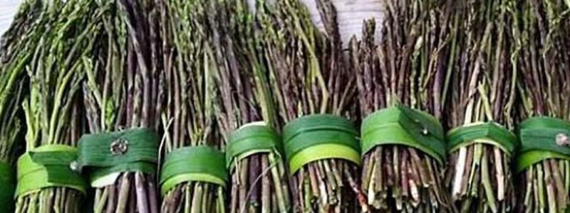 Sagra degli asparagi - Gesturi